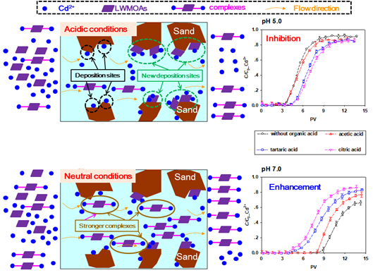 说明: D:\Henan University\scientific research\paper\Cd transport （organic acid）\response\first\2\TOC\新建 Microsoft PowerPoint 演示文稿.tif